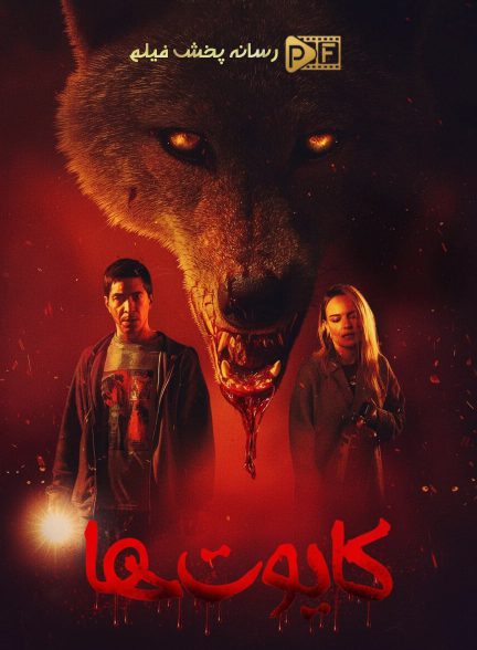 فیلم کایوت ها