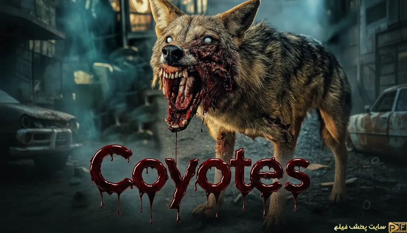 نمای نزدیک از یک کایوت زخمی و خونین در فیلم Coyotes