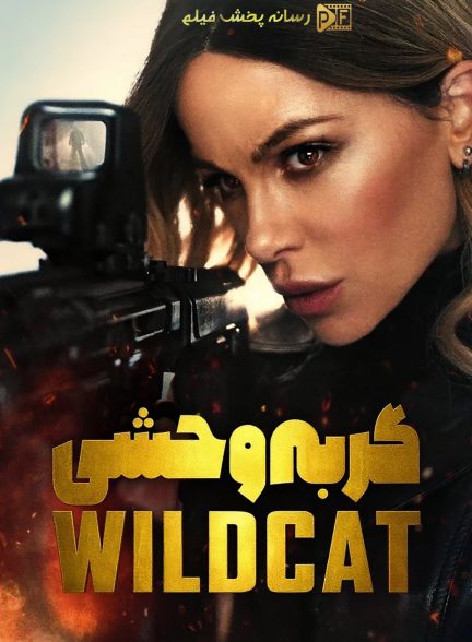 فیلم گربه وحشی
